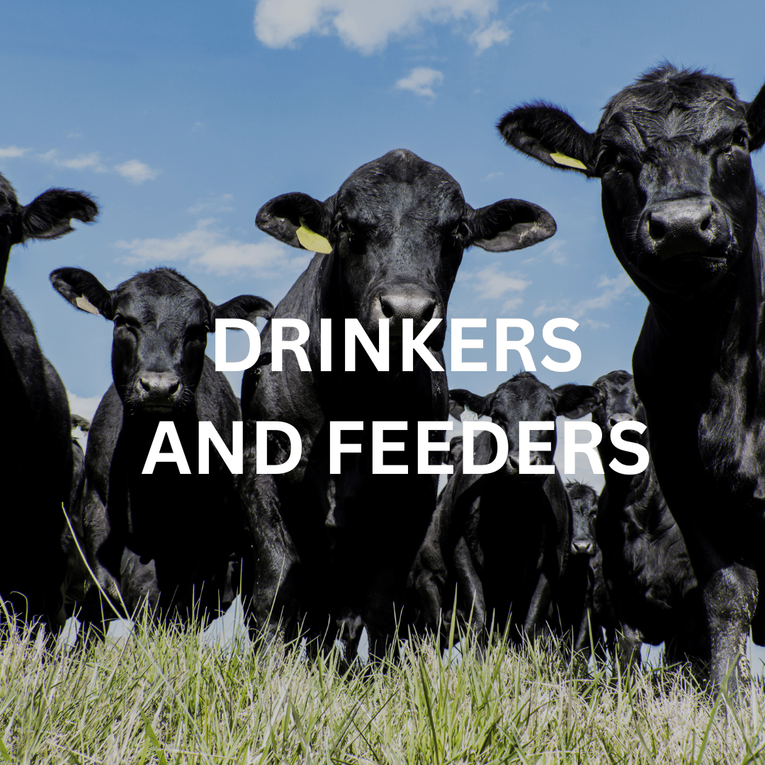 Drinkers & Feeders