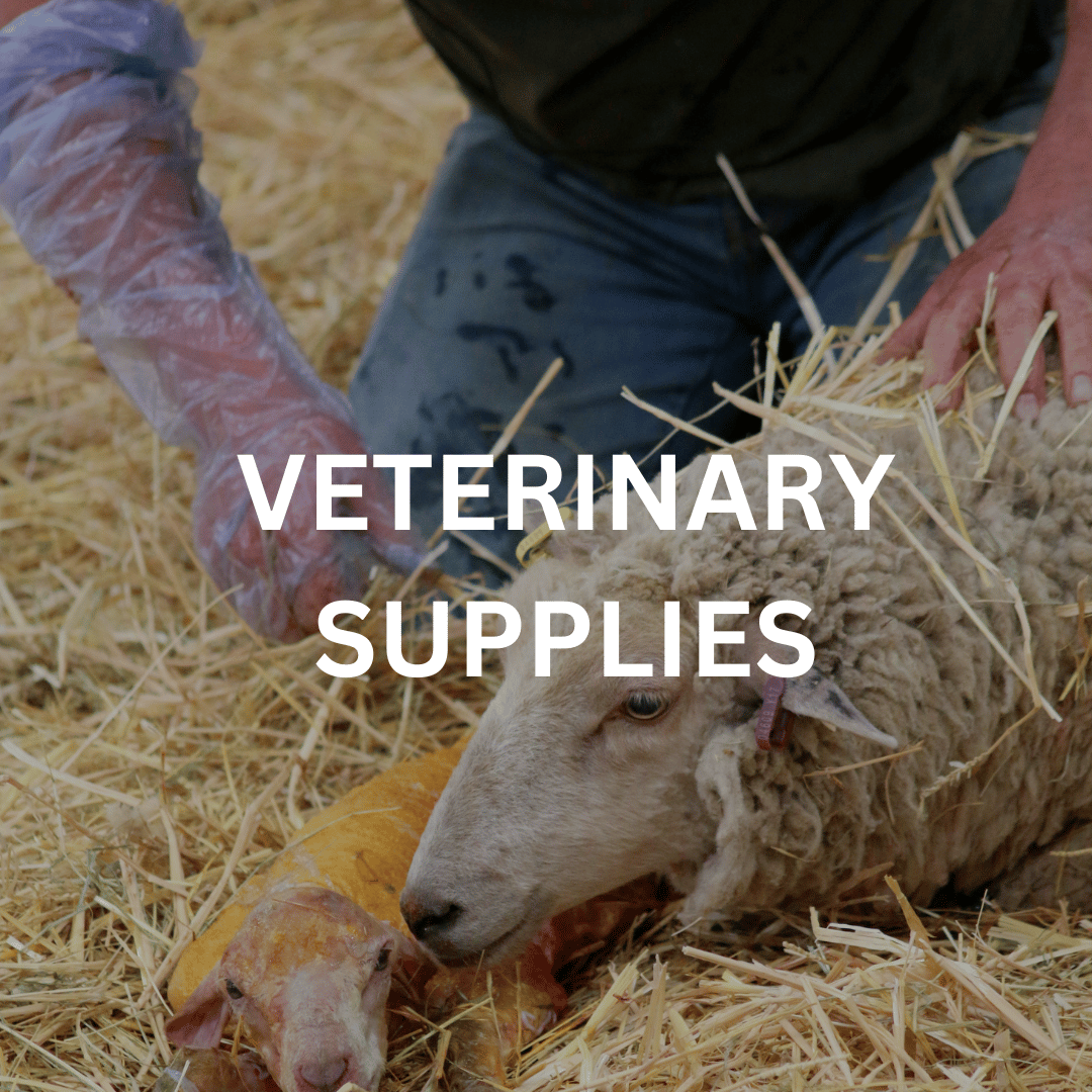 Veterinary Supplies