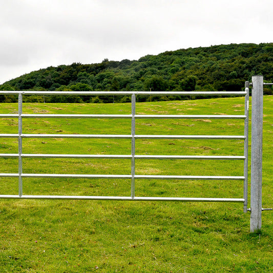 Galvanised Heavy Yard Gate - Multiple Sizes