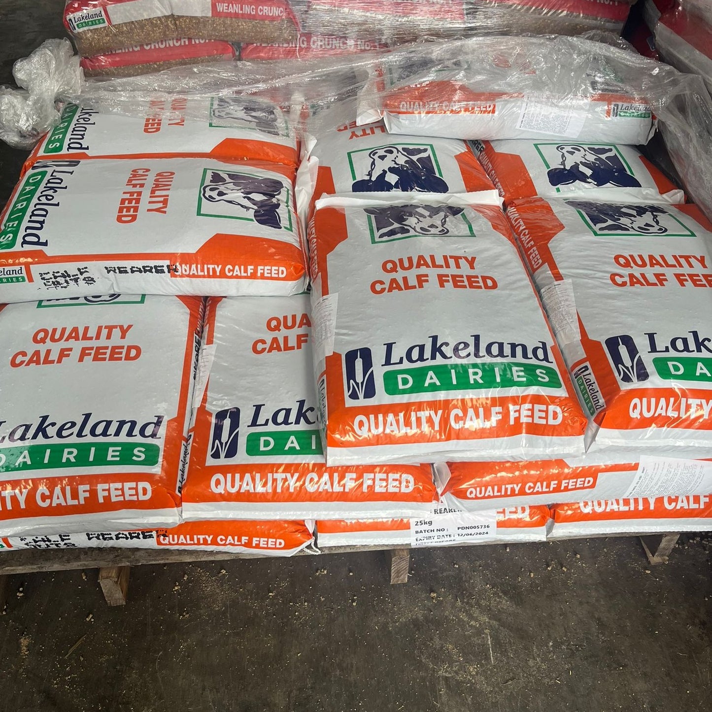 Lakeland Dairies Quality Calf Feed