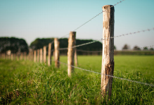 Barbed wire ERIZO® MRT