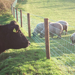 Euro High Tensile Stockfence