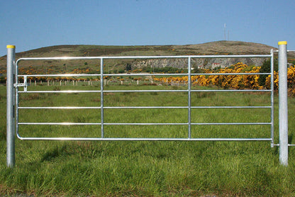 Galvanised Heavy Yard Gate - Multiple Sizes