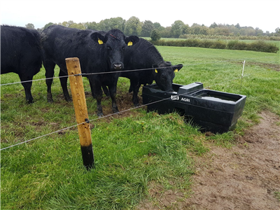 JFC Agri Double Reservoir Water Trough