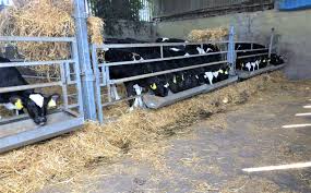 Single Galvanised Cattle Trough