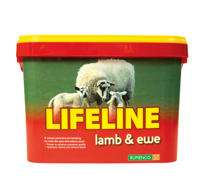 Lifeline Lamb and Ewe Bucket by Uniblock