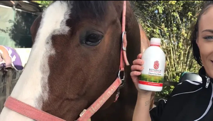 Botanica Cleansing Wash