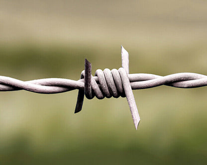 Barbed wire ERIZO® MRT